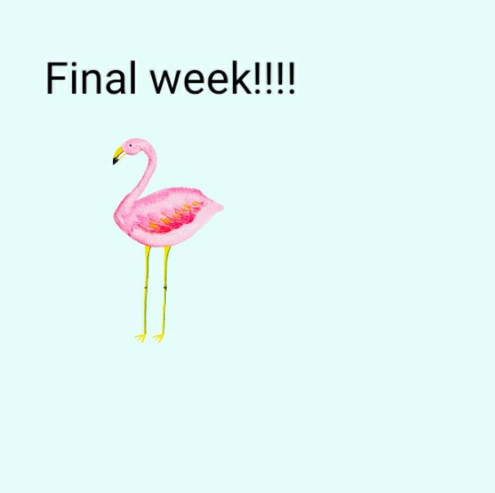 Final week